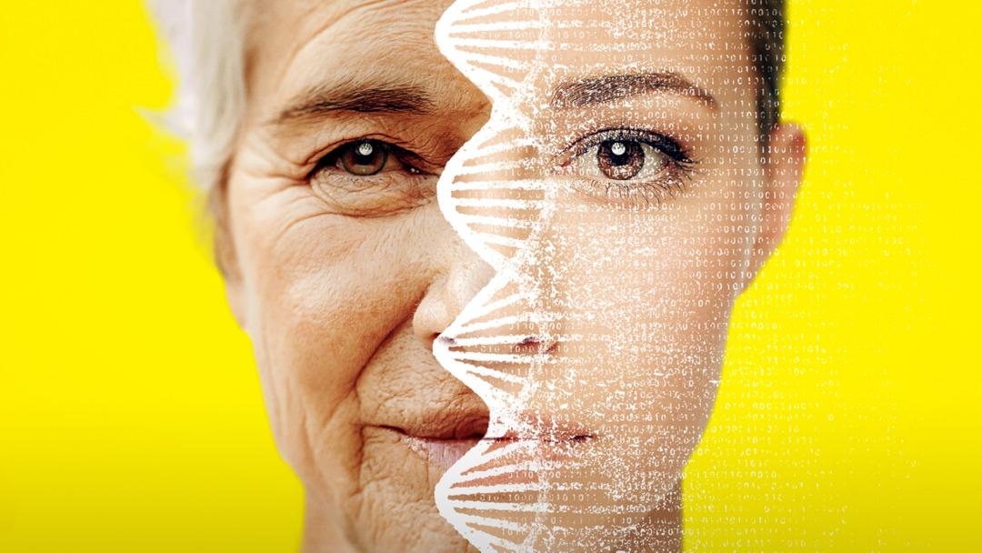 Dinlenme ve bekleme alanı